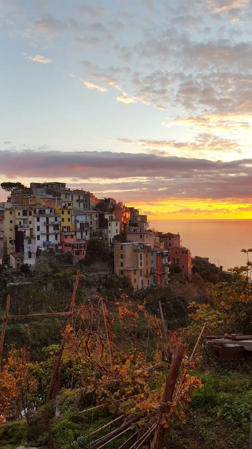 Terre * Corniglia
