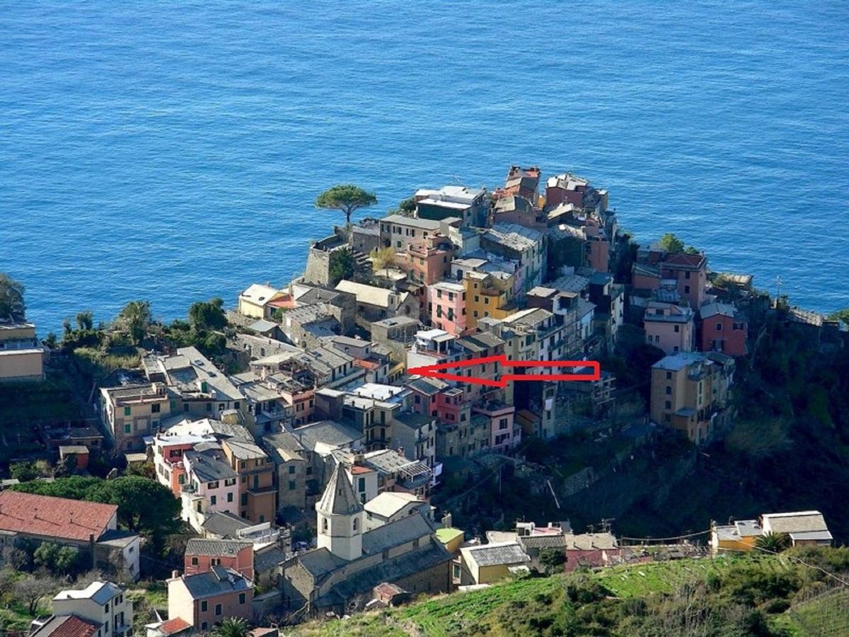 Appartement Terre *